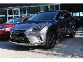 LEXUS NX 2.5 300H LUXURY 4WD